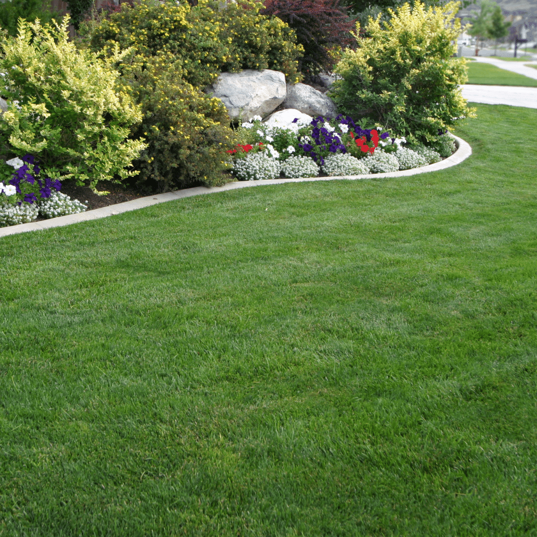 Landscaping Services - Black Forest Service Area - Footprint Home Experts